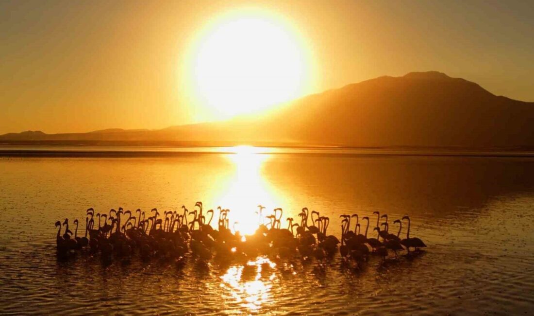 Bitlis’in Adilcevaz ilçesine bağlı Akçıra ve Yarımada köylerinin Van Gölü