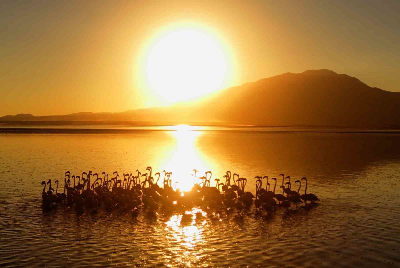 Bitlis’in Adilcevaz ilçesine bağlı Akçıra ve Yarımada köylerinin Van Gölü