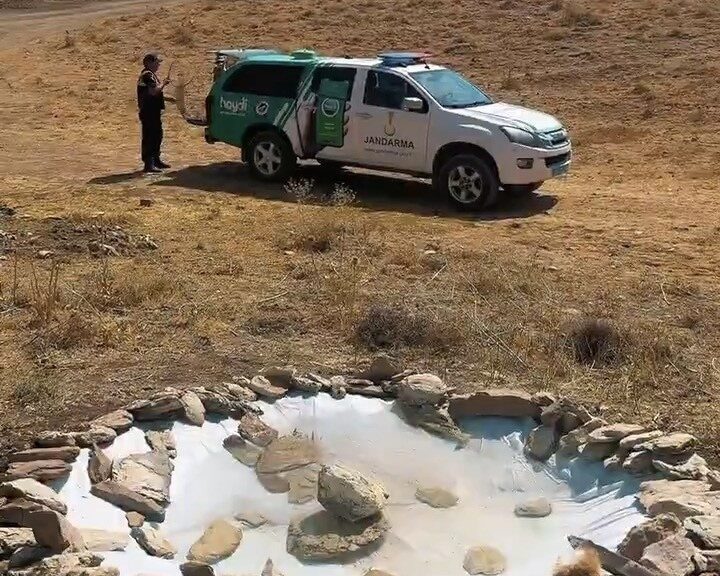 Van İl Jandarma Komutanlığı emrinde görevli Çevre Doğa ve Hayvan