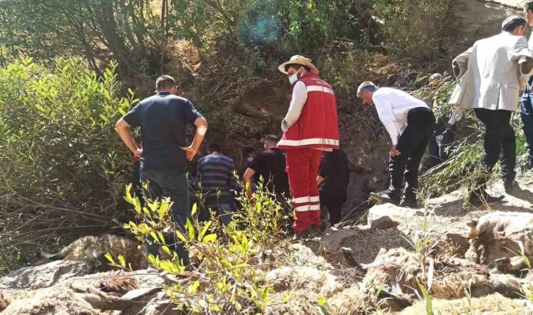 Van’ın Çatak ilçesinde meydana gelen olayda, bir sürüye ait 334