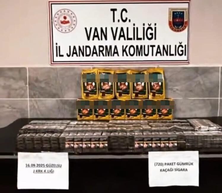 Van’ın Gürpınar ilçesine bağlı Güzelsu Mahallesi’nde jandarma ekiplerinin dikkatli çalışması