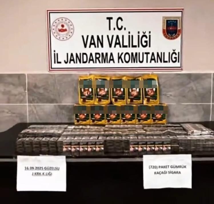 Van’ın Gürpınar ilçesine bağlı Güzelsu Mahallesi’nde jandarma ekiplerinin dikkatli çalışması