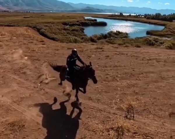 Van İl Jandarma Komutanlığı emrinde görev yapan atlı jandarma timleri,