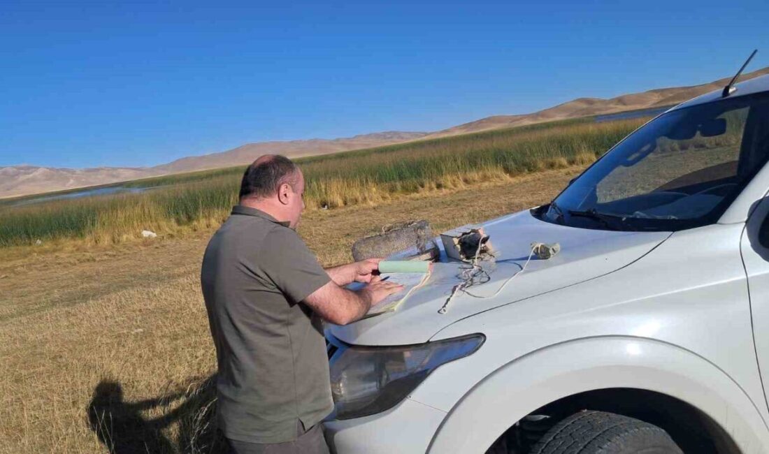 Van’da canlı mühre ile avcılık yapan şahsa 33 bin 283