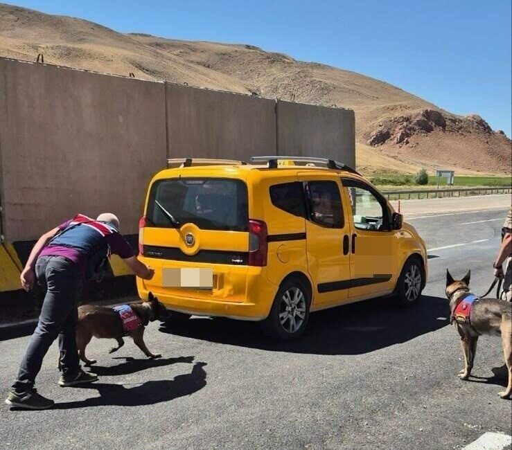 Van’da jandarma ekiplerince yürütülen çalışmalar sonucunda değişik suçlardan 17 kişi