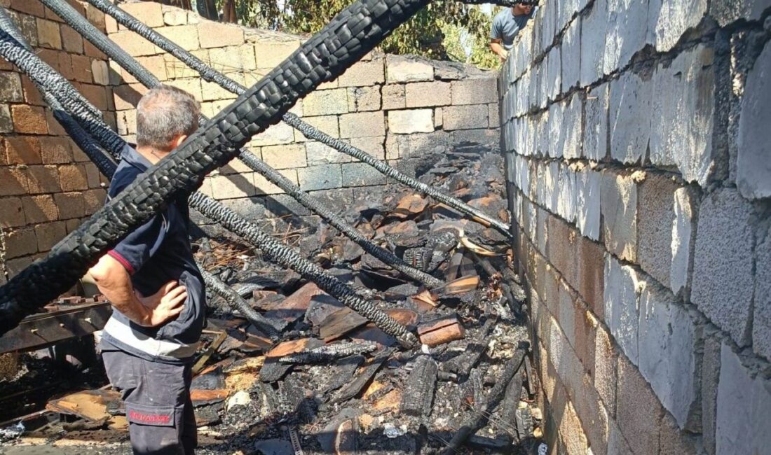 Van’ın İpekyolu ilçesinde bir odunlukta çıkan yangın, itfaiye ekipleri tarafından