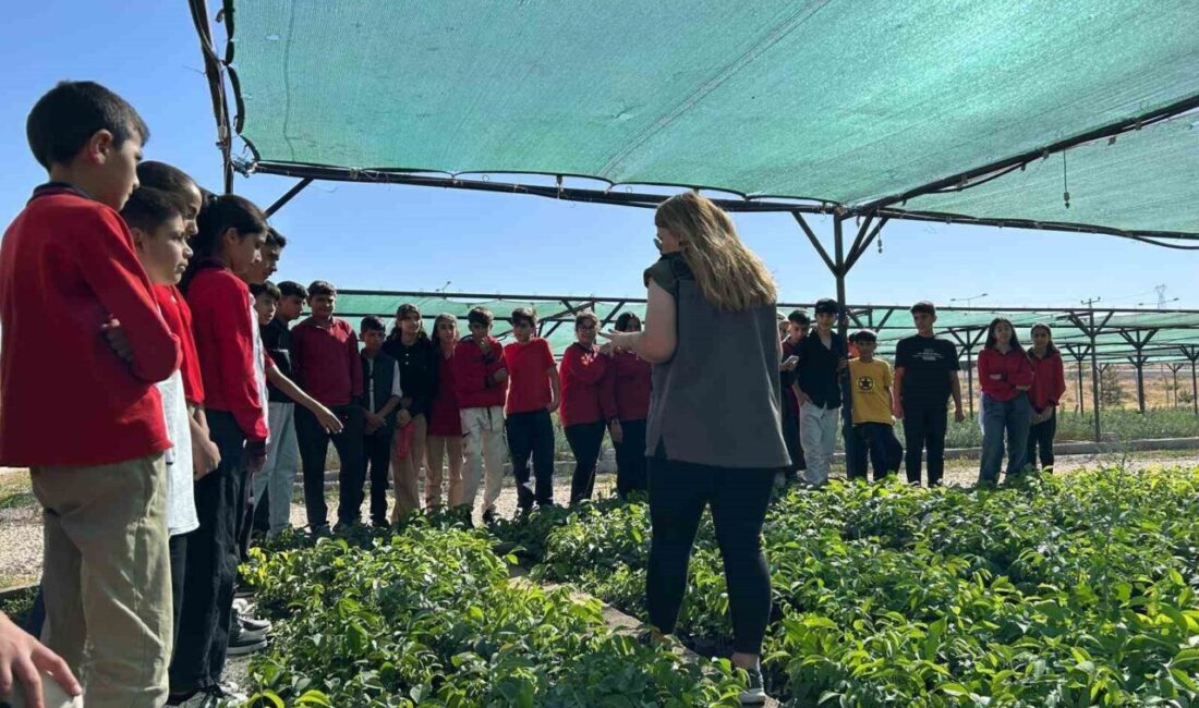 VAN (İHA) – Van’ın Tuşba ilçesine bağlı Bardakçı Ortaokulu öğrencileri,