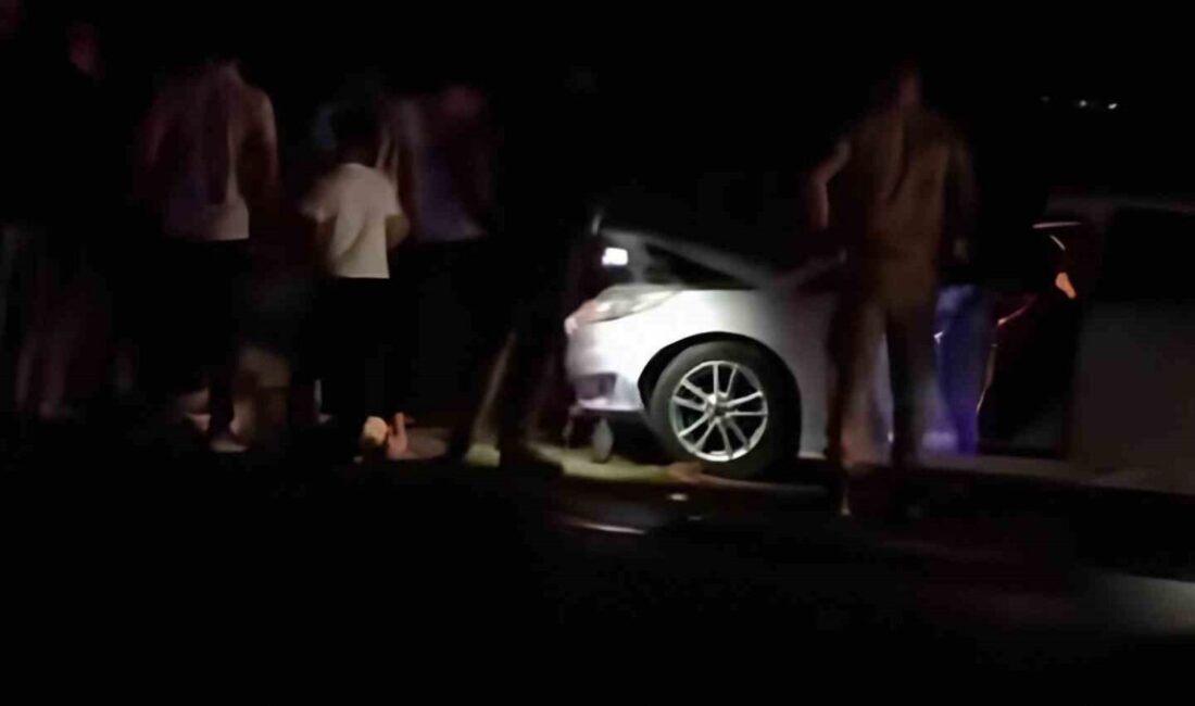 Van’ın Erciş ilçesinde otomobilin koyun sürüsüne çarpması sonucu 8 koyun