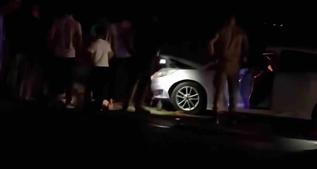 Van’ın Erciş ilçesinde otomobilin koyun sürüsüne çarpması sonucu 8 koyun