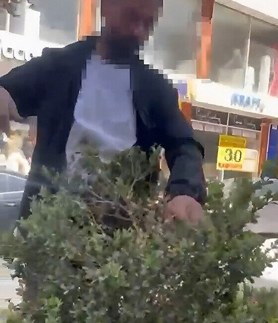 Van’da refüjdeki çiçek ve fidanlara zarar veren şahıs suçüstü yakalandı.