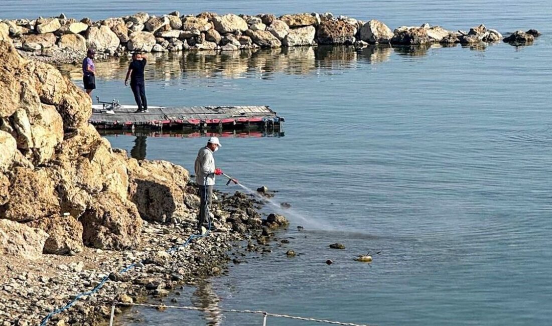 Van Büyükşehir Belediyesi, halk sağlığını tehdit eden kent zararlılarına karşı