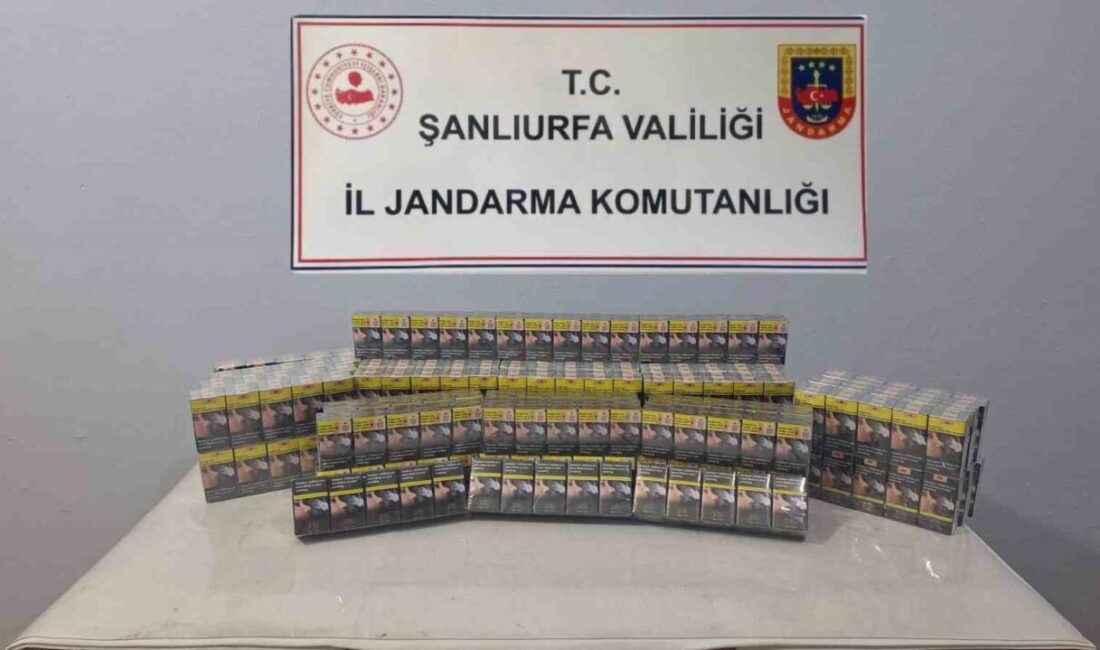 Şanlıurfa’nın Viranşehir ilçesinde jandarma ekiplerinin yaptığı çalışma sonucunda bin 30