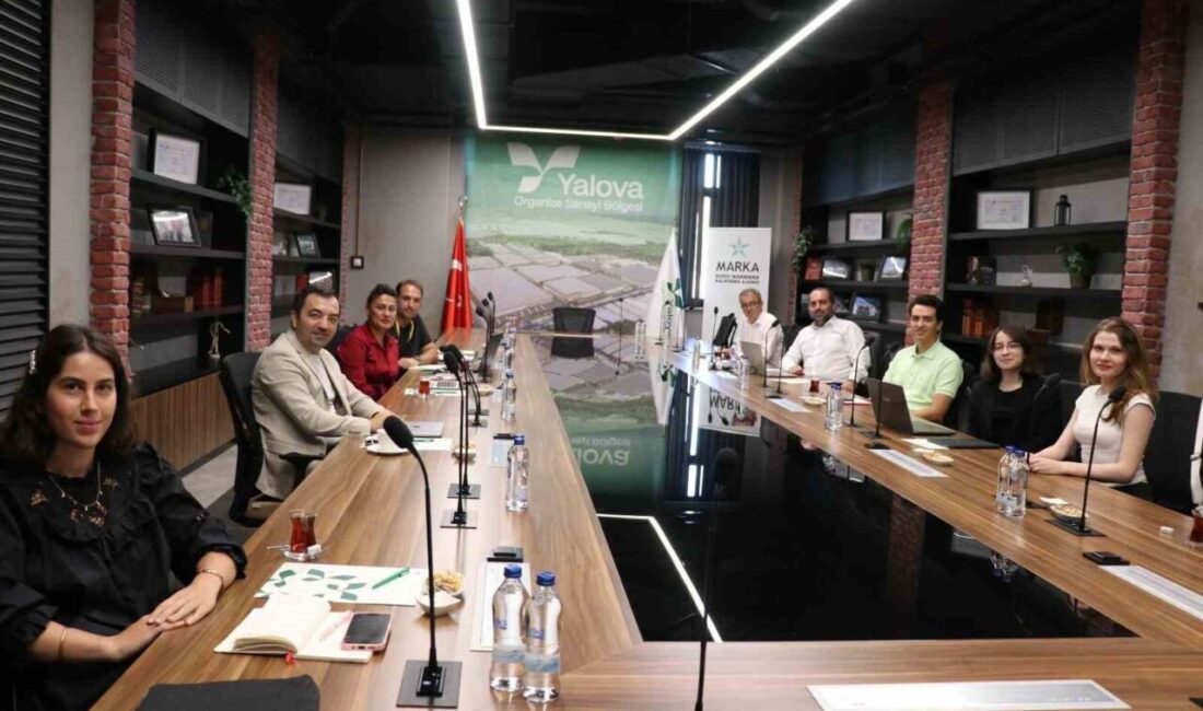 Yalova Makine İhtisas Organize Sanayi Bölgesi, Sanayi ve Teknoloji Bakanlığı’nın