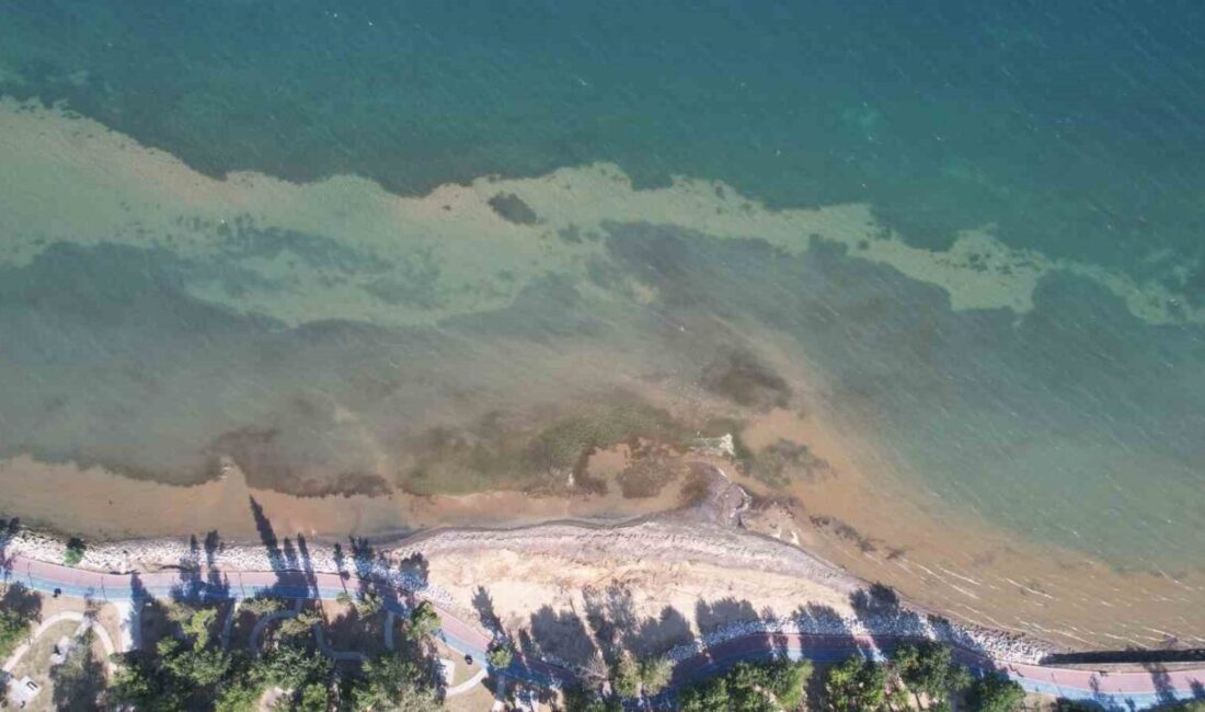 Yalova sahillerinde deniz suyu yaklaşık 5 metre çekildi. Yalova sahillerindeki