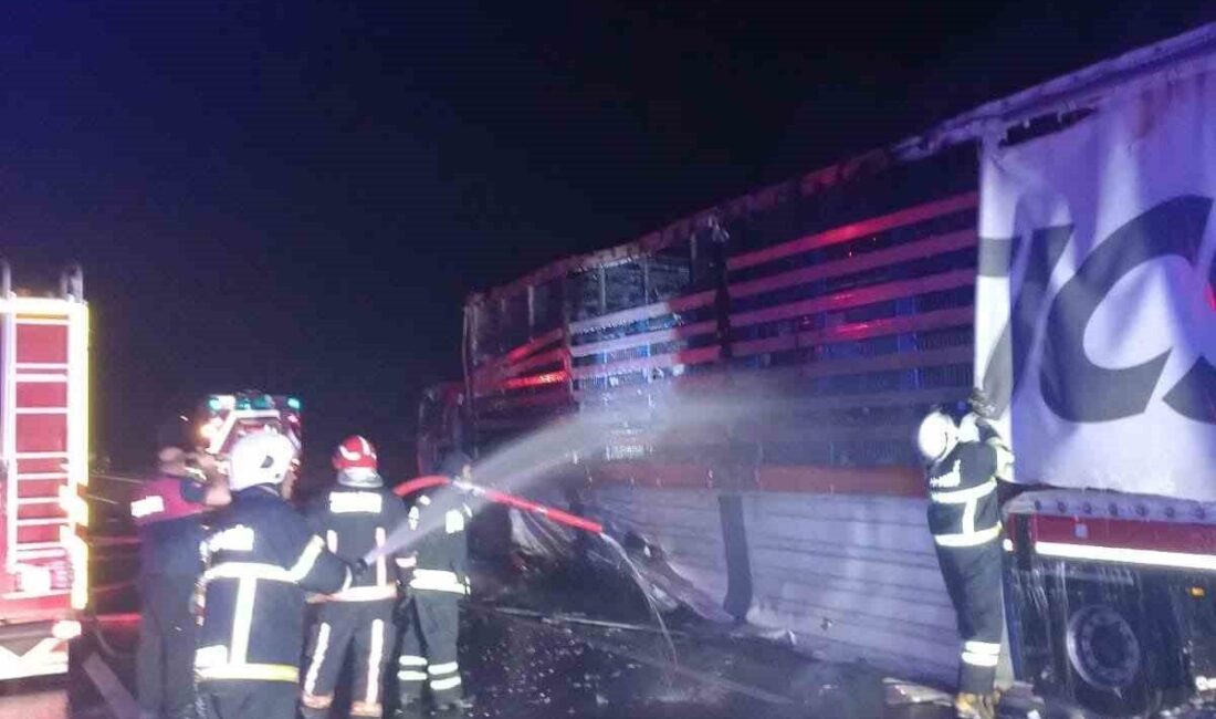 Yalova’nın Altınova ilçesinde, Gebze-İzmir-İstanbul bağlantı yolları üzerinde seyir halindeki bir