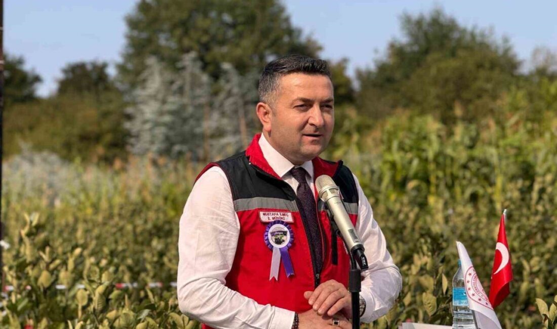 Yalova’nın coğrafi işaretli meyvesi olan aronyanın hasadı düzenlenen etkinlikle başladı.