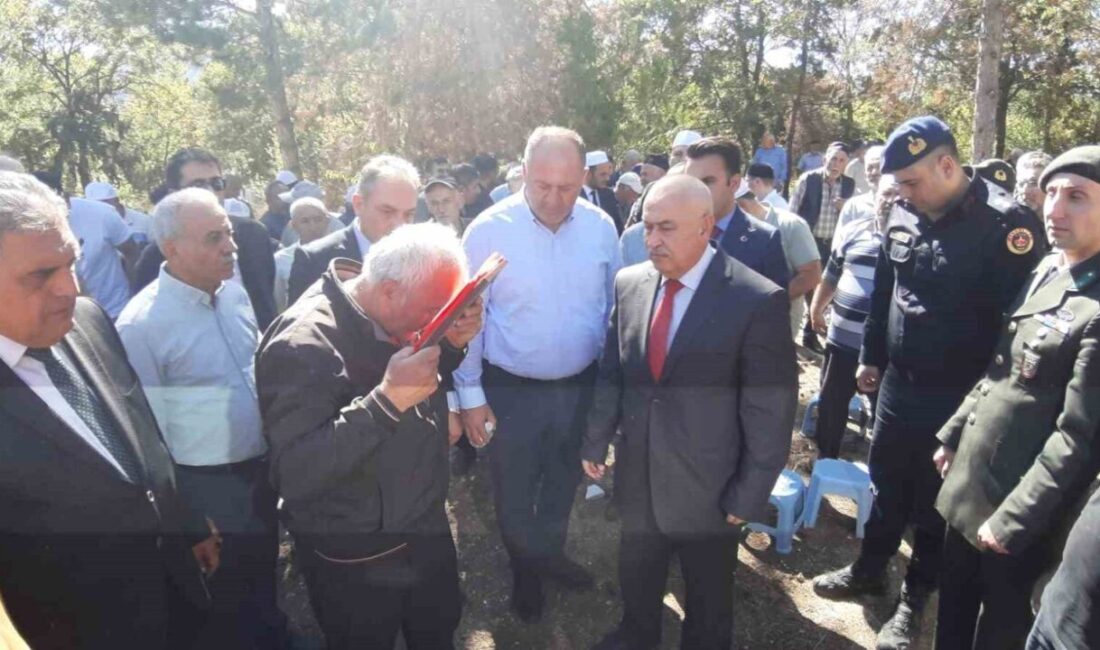Bolu’nun Mudurnu ilçesinde iki katlı ahşap evde çıkan yangında hayatını