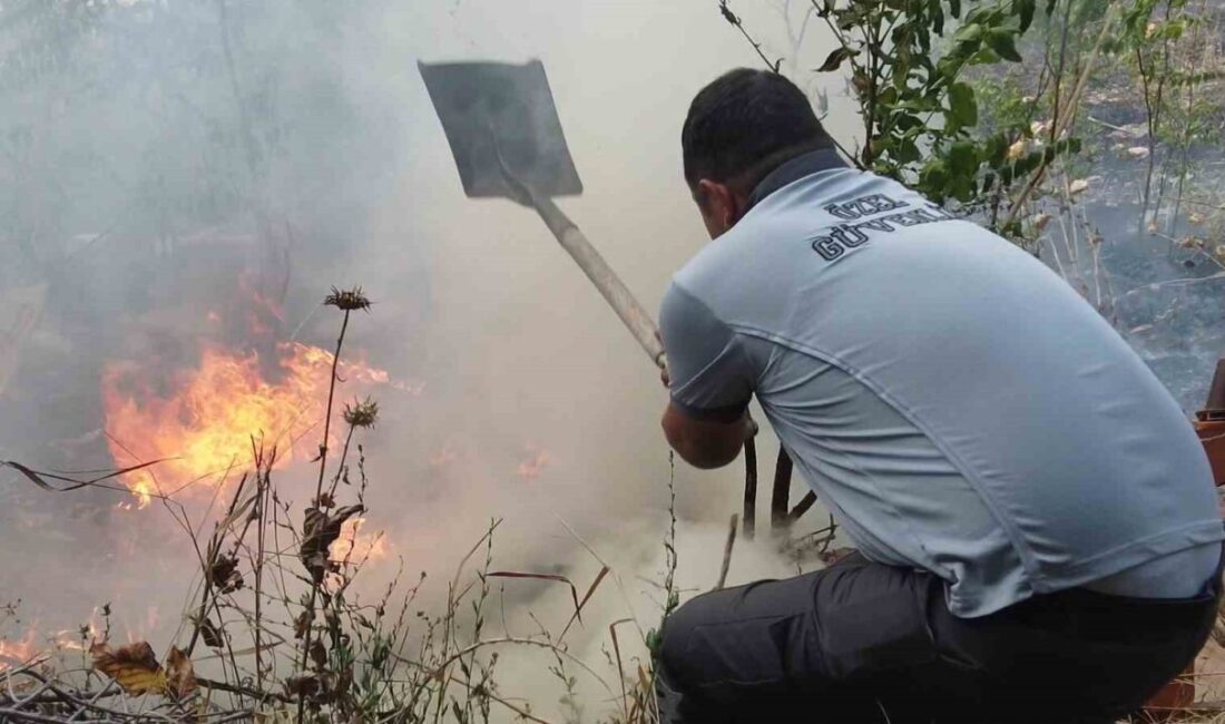 Edirne’de barakaların ve arı kovanlarının alevlere teslim olduğu yangının diğer