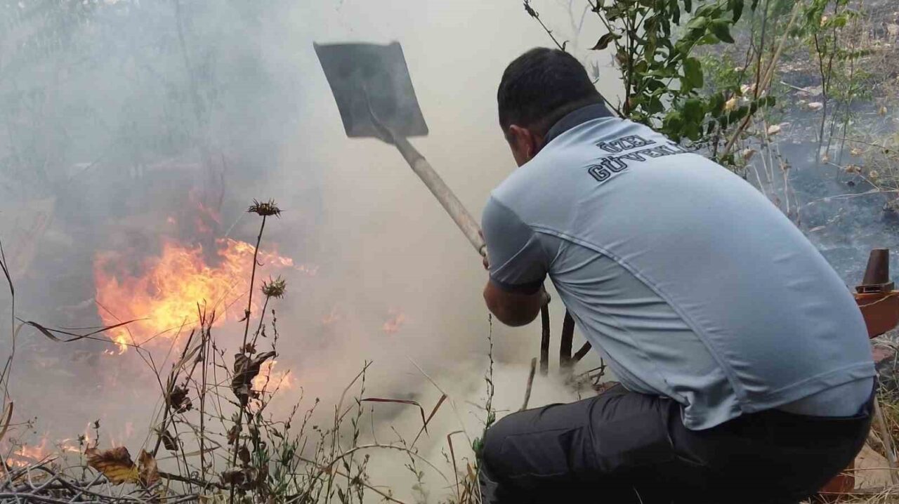 Edirne’de barakaların ve arı kovanlarının alevlere teslim olduğu yangının diğer