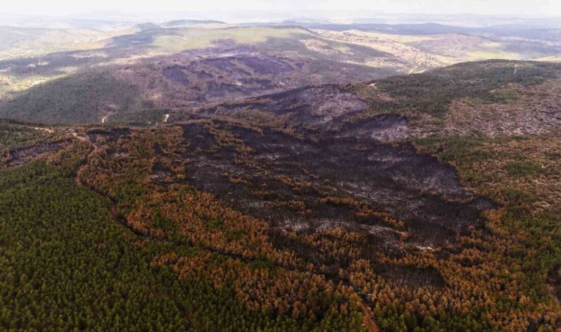 Karabük’te yaklaşık 4 günlük çalışma sonunda büyük oranda kontrol altına