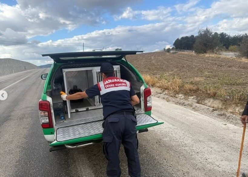 Bilecik İl Jandarma Komutanlığı Çevre, Doğa ve Hayvanları Koruma Tim