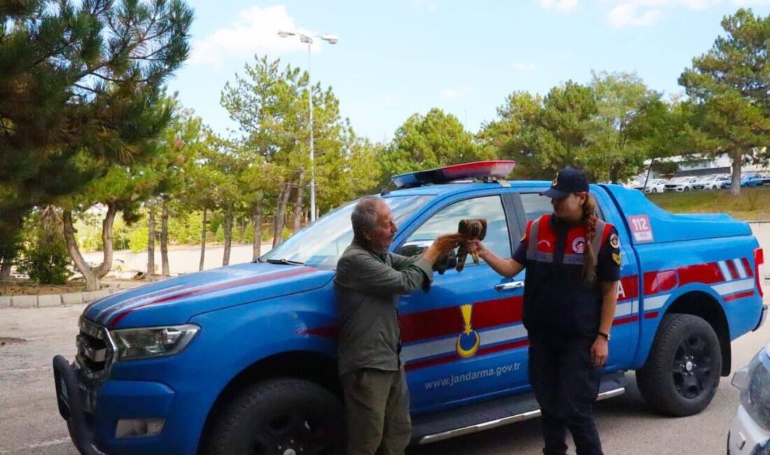 Yozgat’ta yaralı halde bulunan ‘Çakır’ kuşu koruma altına alındı. Yozgat’ın