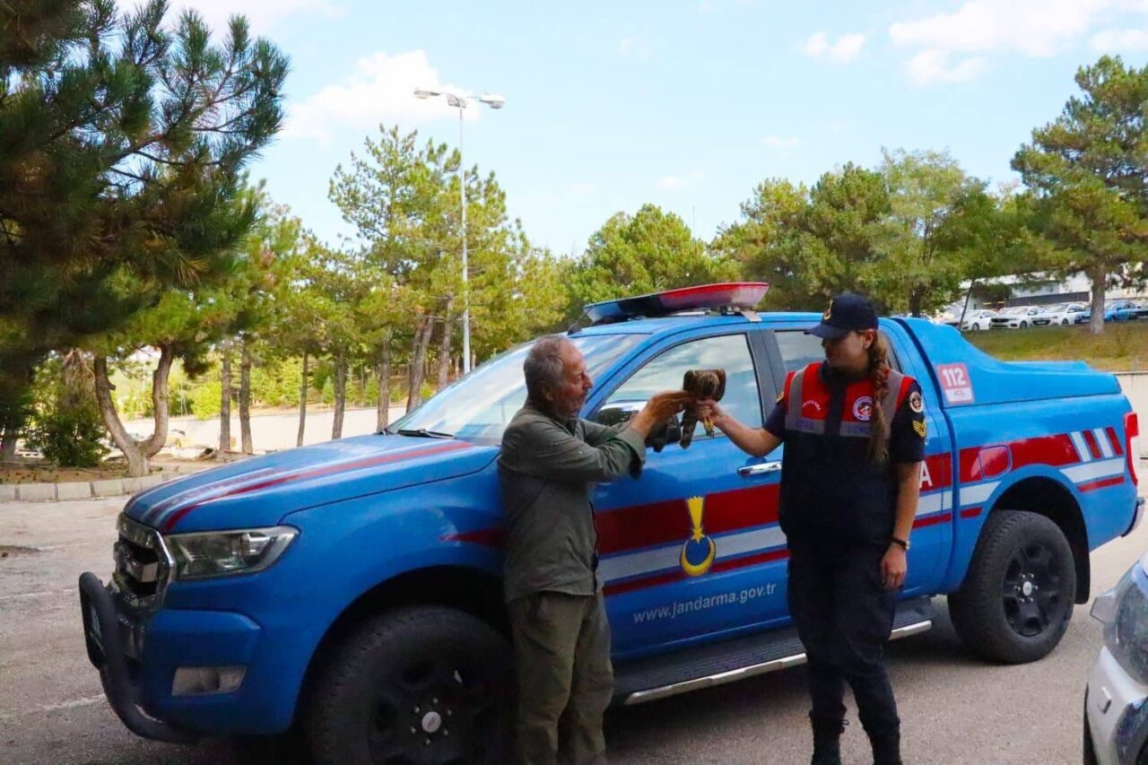 Yozgat’ta yaralı halde bulunan ‘Çakır’ kuşu koruma altına alındı. Yozgat’ın