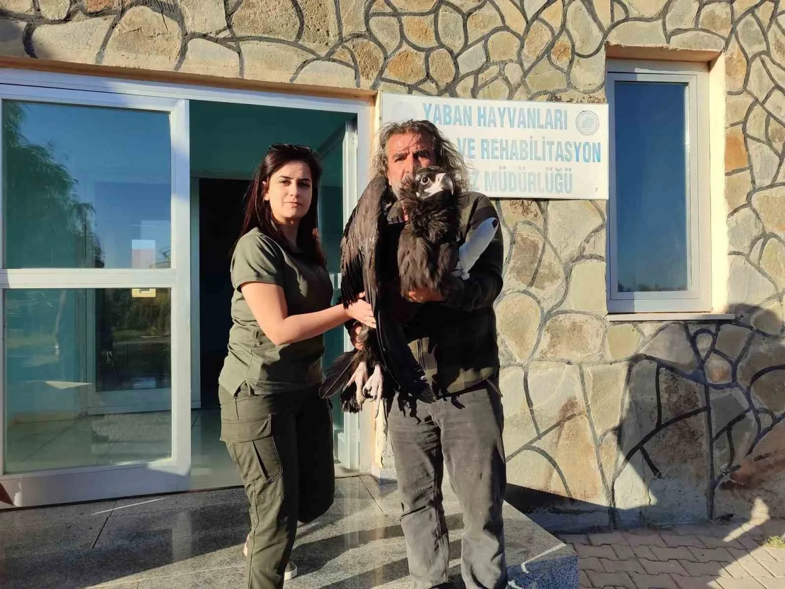 Bitlis’te jandarma personeli tarafından bitkin halde bulunan kara akbaba, tedavisi