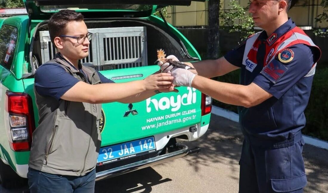 Isparta İl Jandarma Komutanlığı ekipleri, Akkent Mahallesi’nde devriye sırasında yaralı