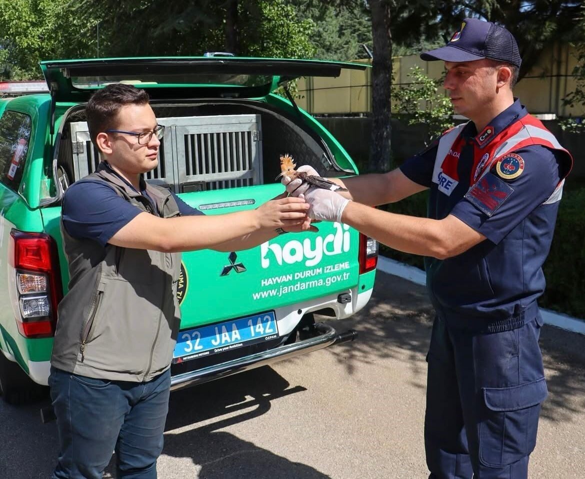 Isparta İl Jandarma Komutanlığı ekipleri, Akkent Mahallesi’nde devriye sırasında yaralı