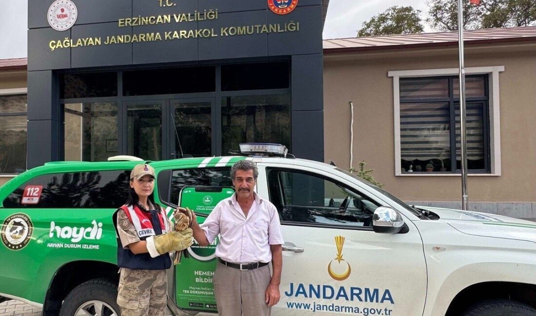 Çağlayan Jandarma Karakol Komutanlığı sorumluluk bölgesinde yaralı halde vatandaşlar tarafından