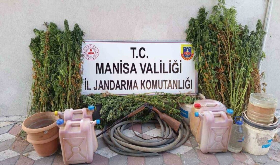 Manisa’da Soma İlçe Jandarma Komutanlığı ekipleri tarafından düzenlenen operasyonda yasa