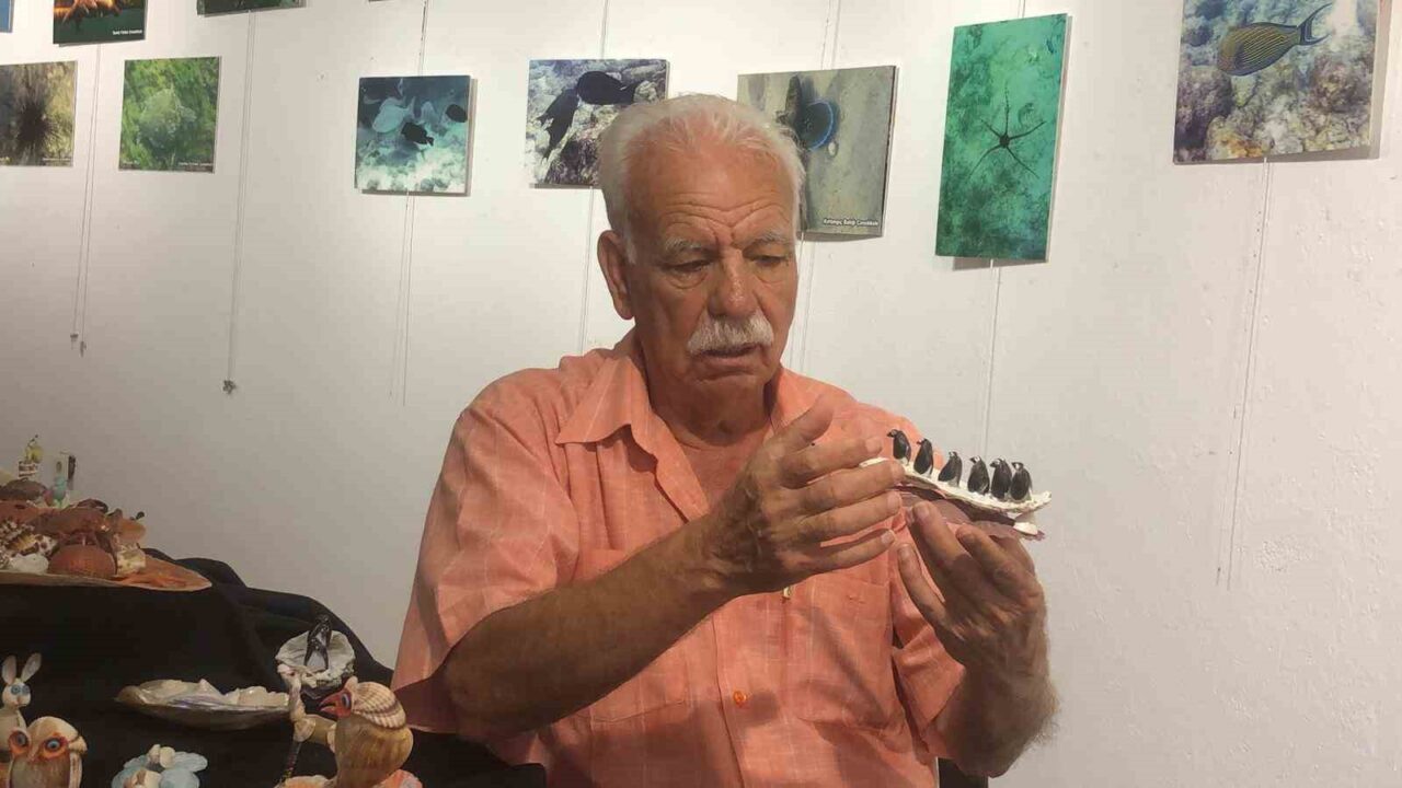 Muğla’nın Datça ilçesinde emekli Ziraat Yüksek Mühendisi Muzaffer Mut’un (79)