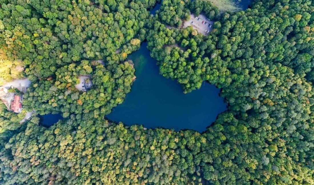Bolu’nun doğal güzellikleriyle ünlü Yedigöller Milli Parkı, sonbaharın gelmesi ile