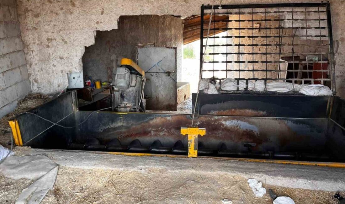 Nevşehir’de yem karma tankına düşen işçi, itfaiye ekiplerinin 1 saatlik