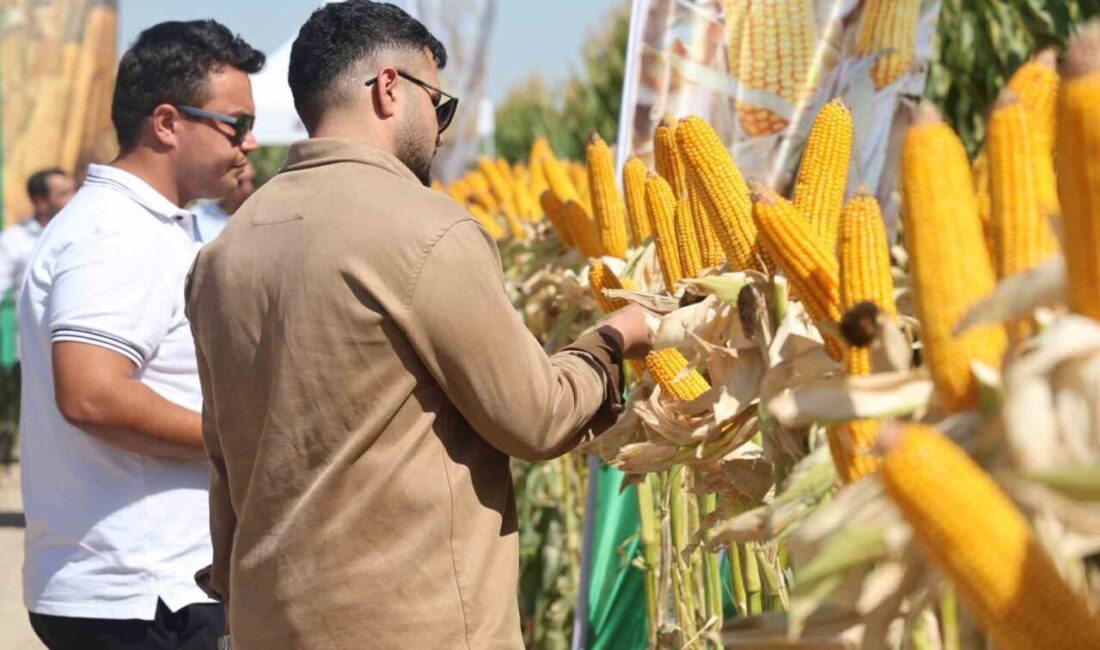 Türkiye’de farklı iklim şartlarına sahip 5 bölgede 5 Ar-Ge merkezinde,