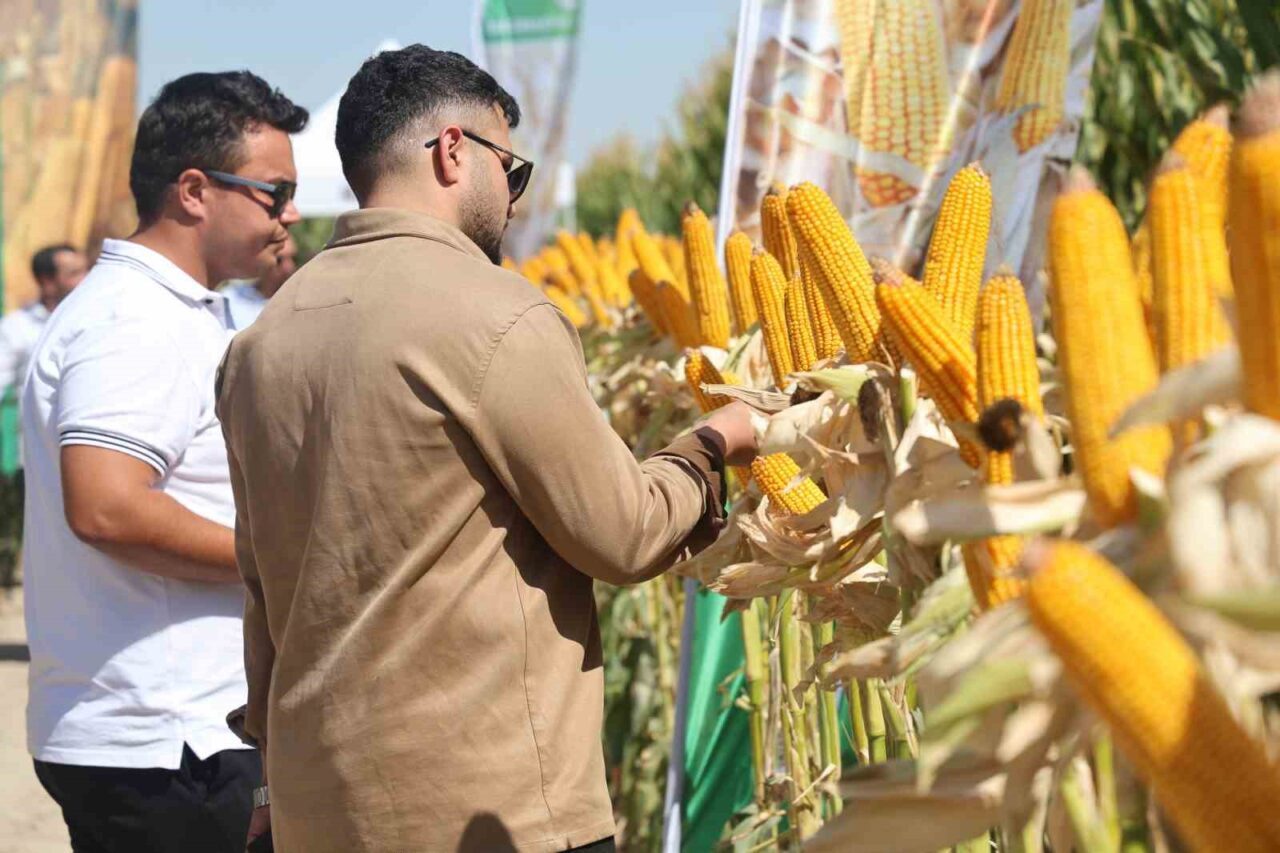 Türkiye’de farklı iklim şartlarına sahip 5 bölgede 5 Ar-Ge merkezinde,