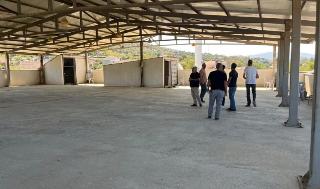 Aydın’ın Yenipazar ilçesi Hamzabali Mahallesi’nde düğün salonu olarak da kullanılan