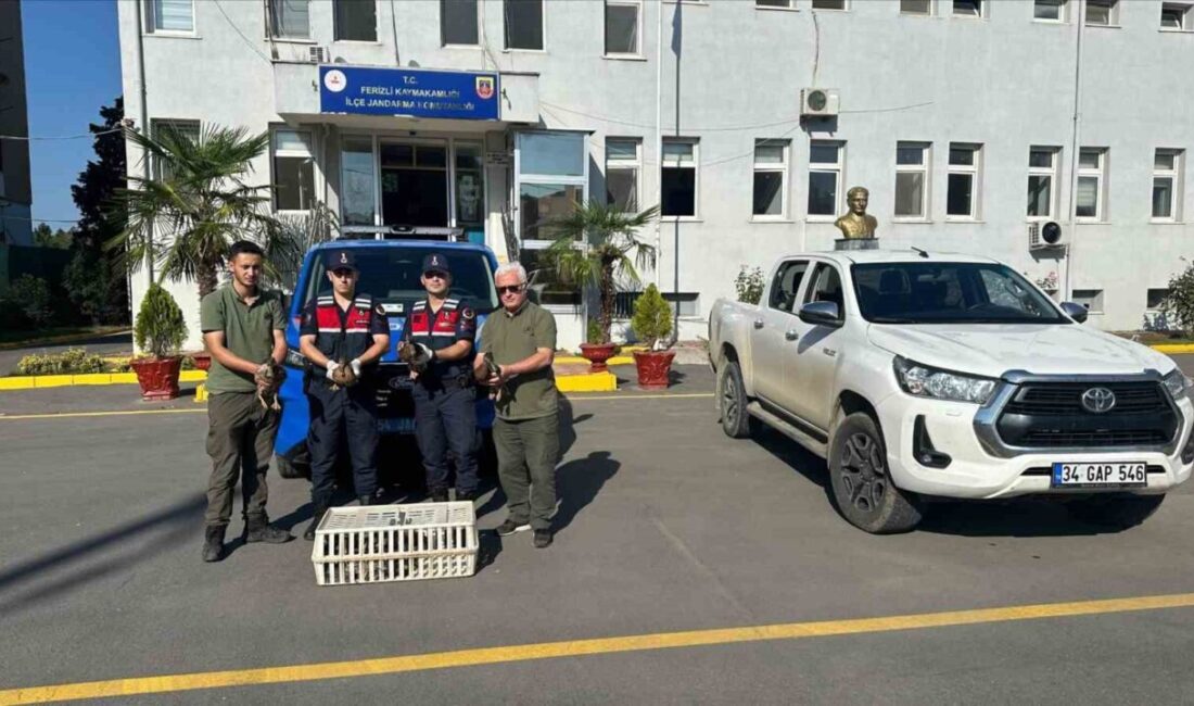 Sakarya’nın Ferizli ilçesinde jandarma ekiplerince gerçekleştirilen denetimde, avda mühre olarak