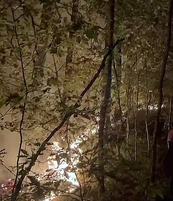 Düzce (İHA) – Düzce’nin Yığılca ilçesi Mengen köyünde çıkan orman