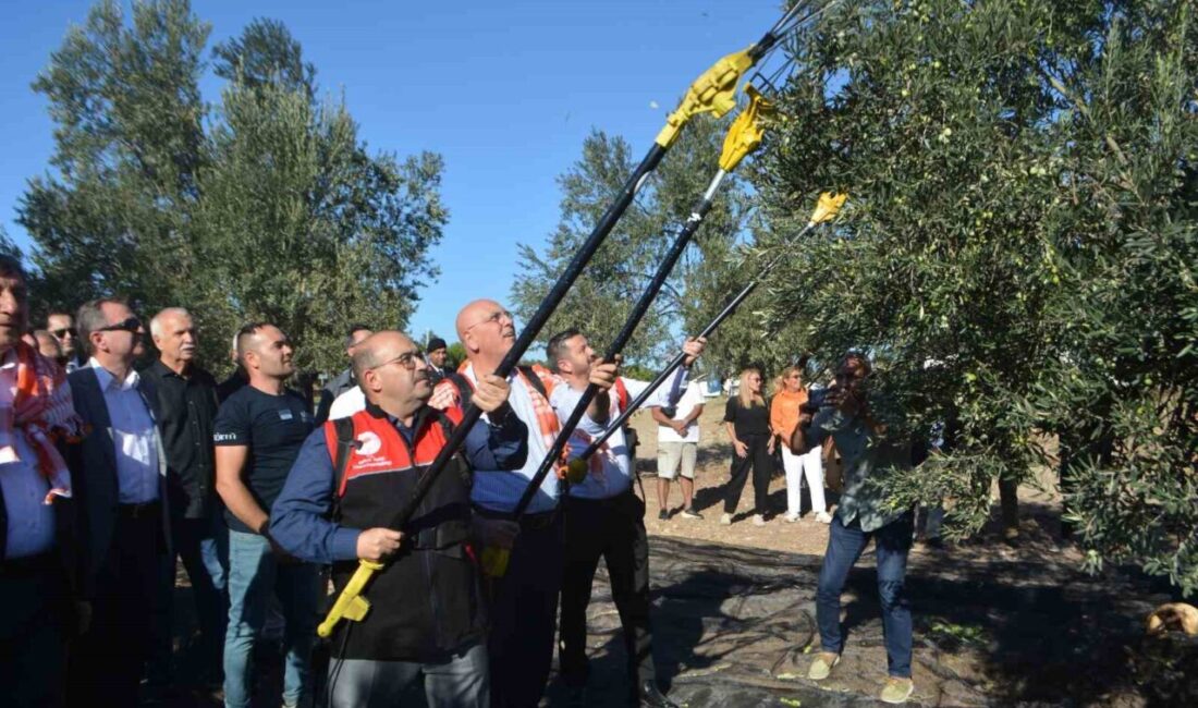Türkiye’nin en önemli zeytin ve zeytinyağı merkezlerinden biri olarak kabul