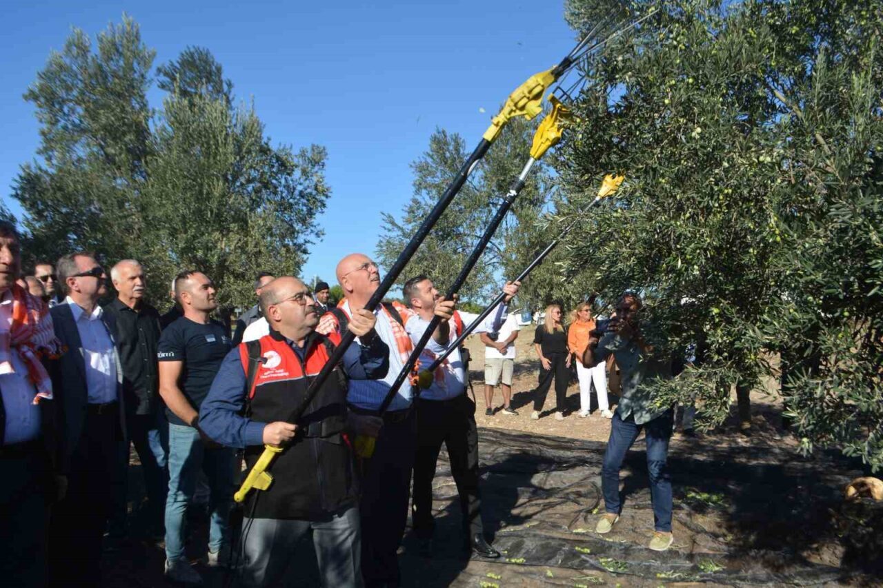 Türkiye’nin en önemli zeytin ve zeytinyağı merkezlerinden biri olarak kabul