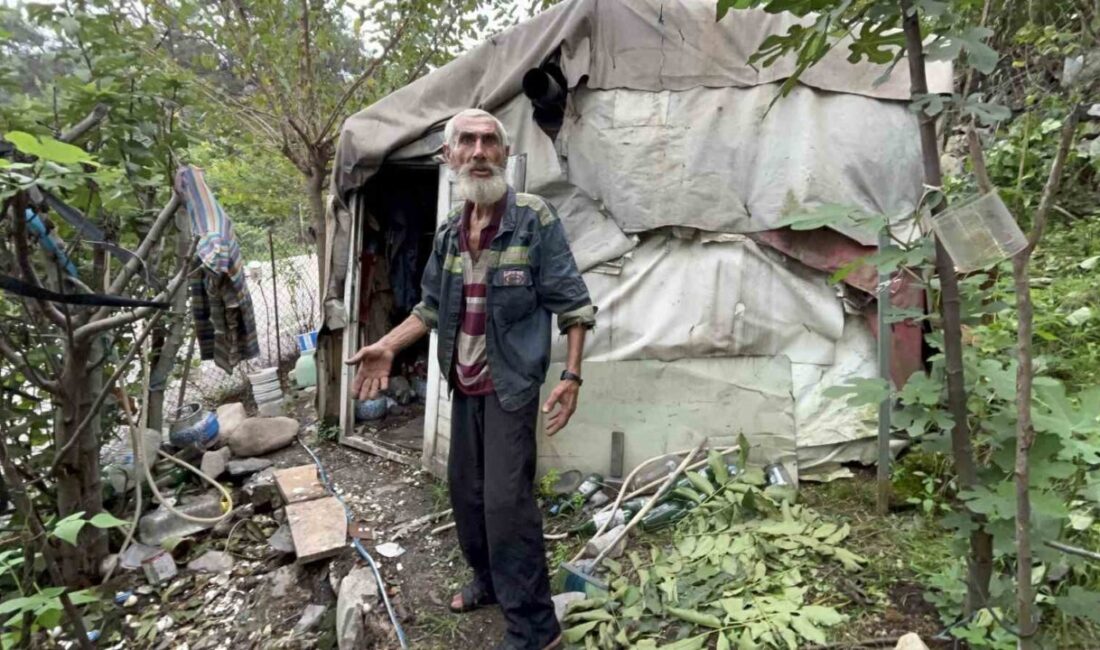 Hatay’da uzun yıllardır yalnız başına çadırda yaşayan ve ısrarlara rağmen