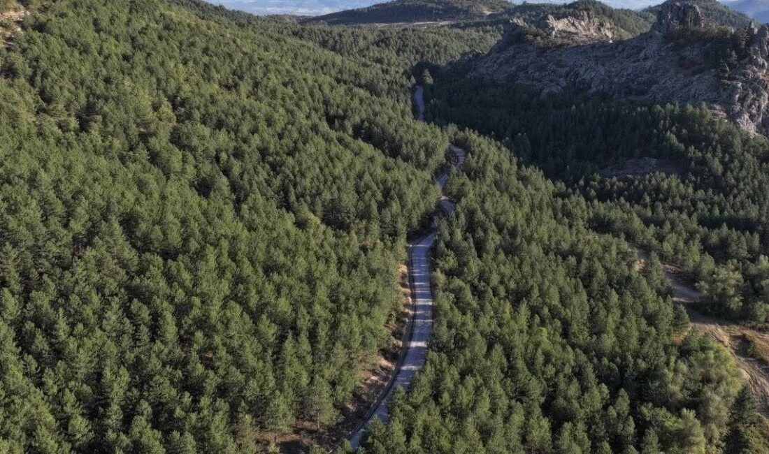 Manisa’nın Gördes ilçesi ile Balıkesir’in Sındırgı ilçesini birbirine bağlayan yol,