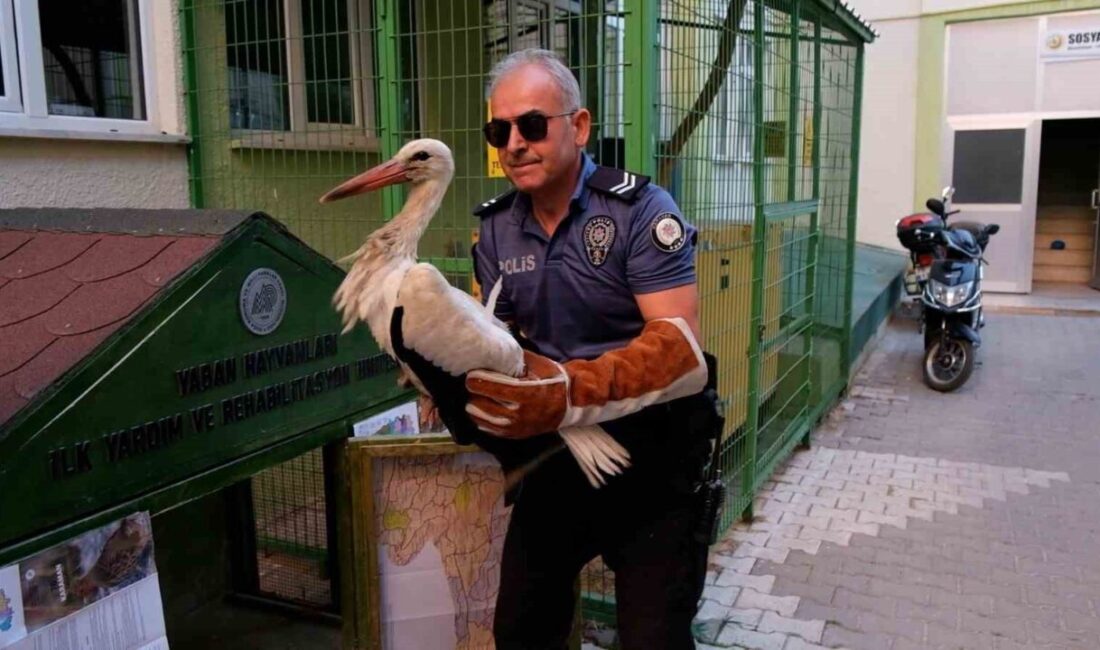 Karaman’da bir vatandaş tarafından yol kenarında yaralı ve bitkin halde
