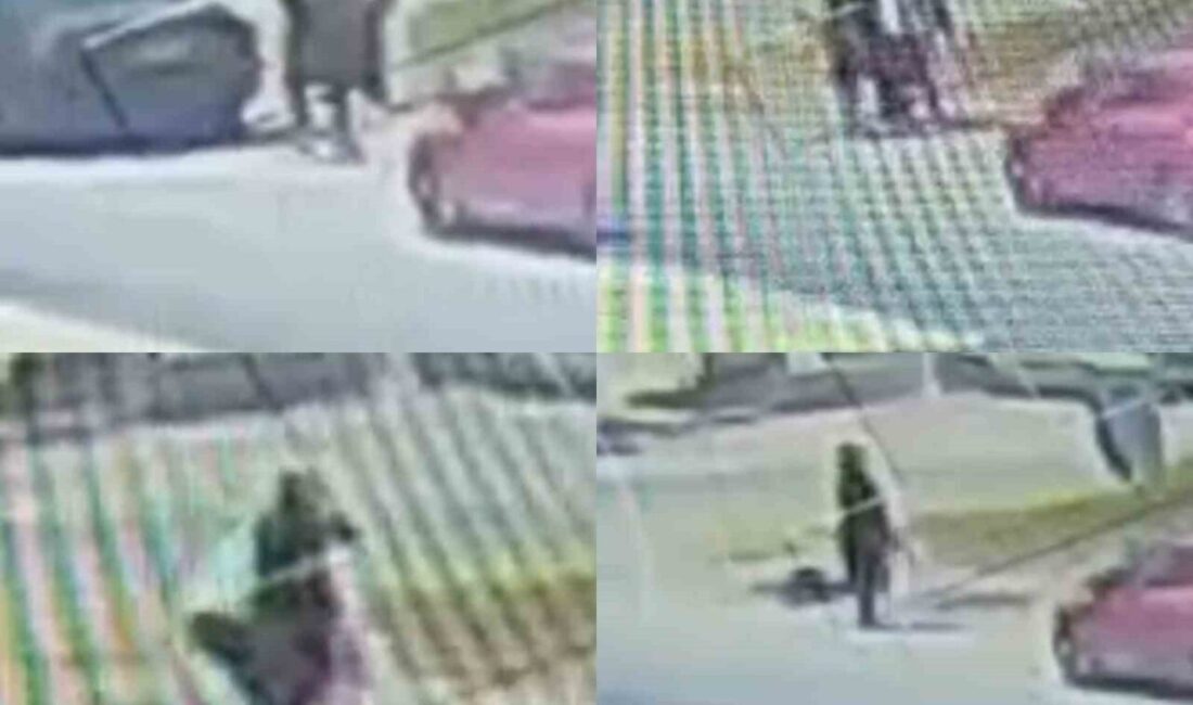 Mersin’in Anamur ilçesinde ’kıskançlık’ yüzünden yol kenarında tartıştığı kadın arkadaşını