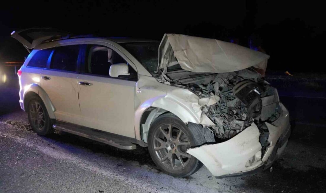 Kastamonu-Sinop karayolu üzerinde yola çıkan büyükbaş hayvanlara yolcu otobüsü ile