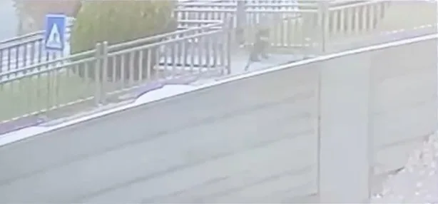 Elazığ’da annesinin elini bırakarak bir anda yola fırlayan 4 yaşındaki