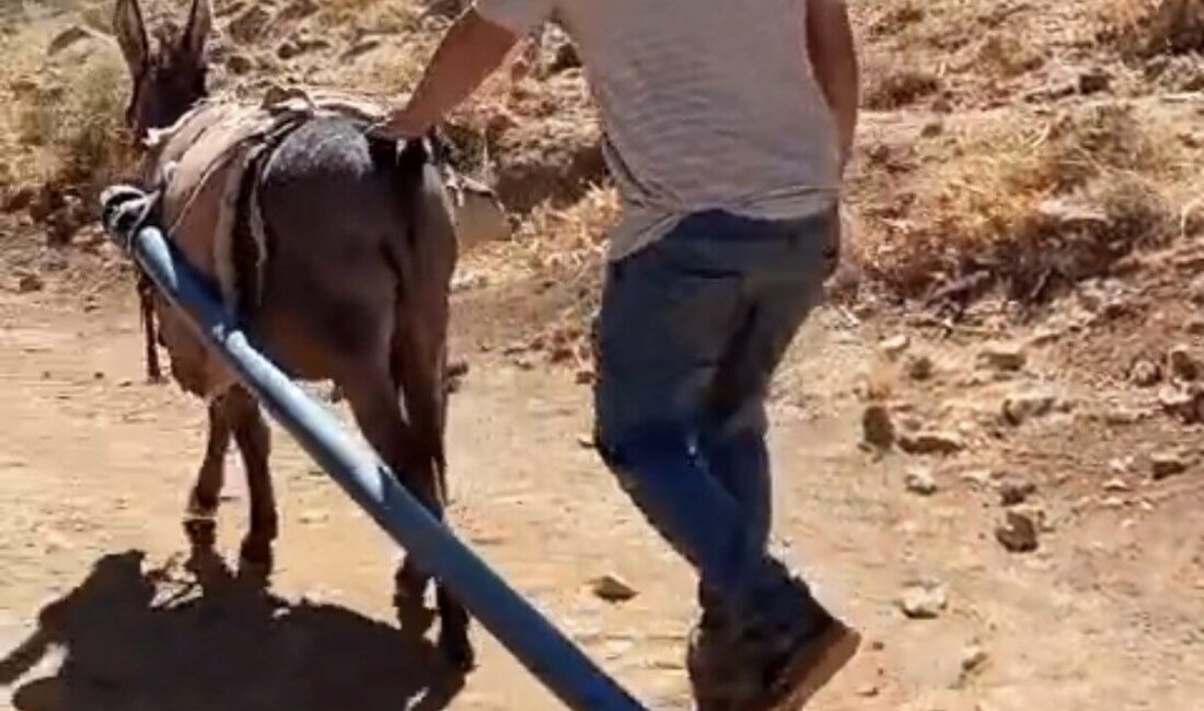 BİTLİS (İHA) – Bitlis’in Yolalan Belde Belediyesi tarafından yürütülen içme