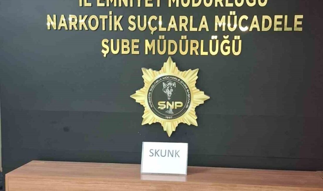 Şanlıurfa da otobüsteki yolcunun çantasından 1 kilogram skunk maddesi çıktı.